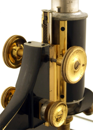 Ernst Leitz Wetzlar, Mikroskop f&uuml;r Gehirnschnitte: Feintrieb