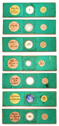 G.Oberhaeuser & E. Hartnack # 3207: Pr&auml;parate