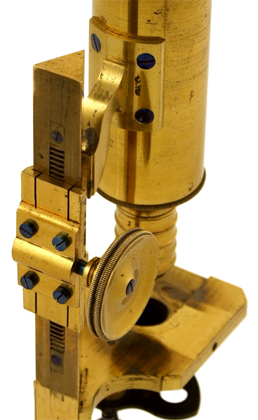 Kleines Mikroskopstativ von Simon Pl&ouml;ssl in Wien: Trieb