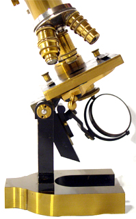 C. Reichert Wien: Gro&szlig;es Mikroskop No. 3233 um optische Achse gedreht