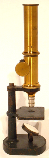 Einfaches Trichinenmikroskop: Paul Waechter, Berlin