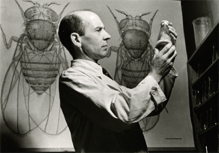 Prof.Dr.phil. Karl Henke (1895-1956), Foto von Leif Geiges f&uuml;r die Zeitschrift Atlantis (Herausgeber Martin H&uuml;rlimann), 1947