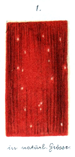 Darstellung der Lehre von den Trichinen, mit R&uuml;cksicht auf die dadurch gebotenen Vorsichtsma&szlig;regeln, f&uuml;r Laien und Aerzte; Rud.Virchow; erste Auflage; Verlag von Georg Reimer; Berlin; 1864. Fig. 6